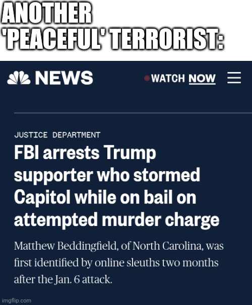 Only a trumper could have his murder trial interrupted by terrorism charges | ANOTHER 'PEACEFUL' TERRORIST: | image tagged in terrorists,scumbag republicans,conservative hypocrisy,sore loser | made w/ Imgflip meme maker