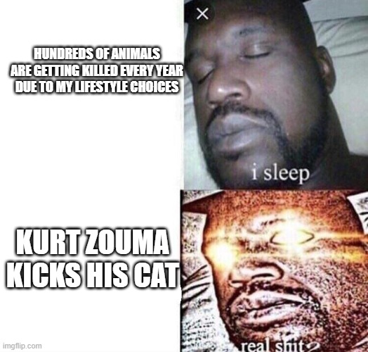 Real Shit | HUNDREDS OF ANIMALS ARE GETTING KILLED EVERY YEAR DUE TO MY LIFESTYLE CHOICES; KURT ZOUMA KICKS HIS CAT | image tagged in real shit,vegancirclejerk | made w/ Imgflip meme maker