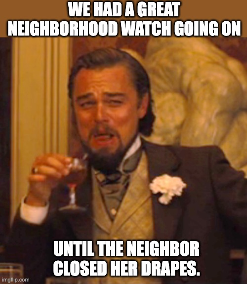 Watch | WE HAD A GREAT NEIGHBORHOOD WATCH GOING ON; UNTIL THE NEIGHBOR CLOSED HER DRAPES. | image tagged in memes,laughing leo | made w/ Imgflip meme maker