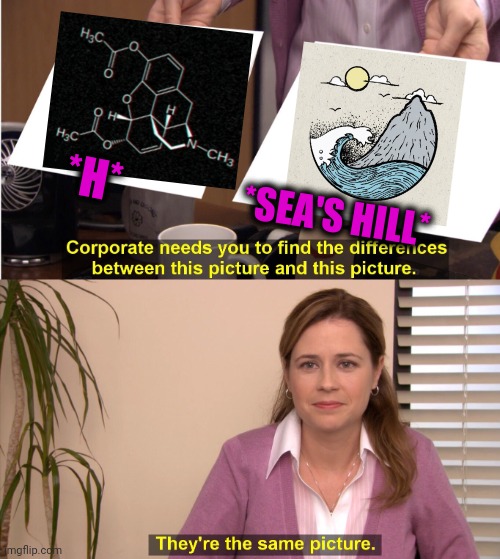 -Drawing of chill. | *H*; *SEA'S HILL* | image tagged in memes,drugs are bad,inhaling seagull,king of the hill,totally looks like,organic chemistry | made w/ Imgflip meme maker