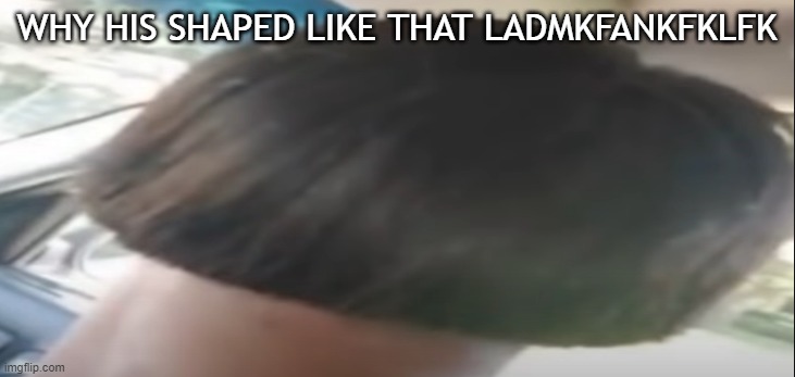 WHY HIS SHAPED LIKE THAT LADMKFANKFKLFK | made w/ Imgflip meme maker
