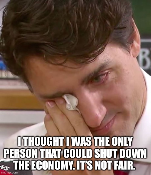 Trucker Won | I THOUGHT I WAS THE ONLY PERSON THAT COULD SHUT DOWN THE ECONOMY. IT’S NOT FAIR. | image tagged in justin trudeau crying | made w/ Imgflip meme maker