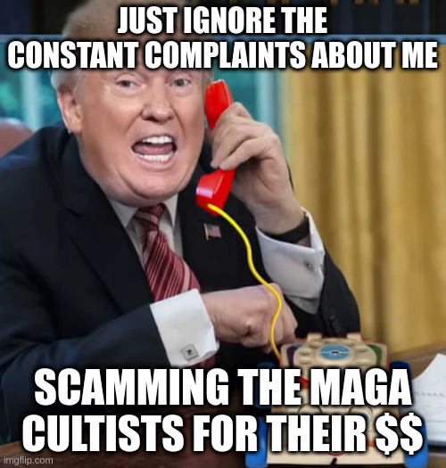 I'm the president | JUST IGNORE THE CONSTANT COMPLAINTS ABOUT ME; SCAMMING THE MAGA CULTISTS FOR THEIR $$ | image tagged in i'm the president | made w/ Imgflip meme maker