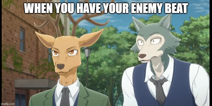 when you have you enemy beat | WHEN YOU HAVE YOUR ENEMY BEAT | image tagged in memes,anime,wolf,furries,furry | made w/ Imgflip meme maker
