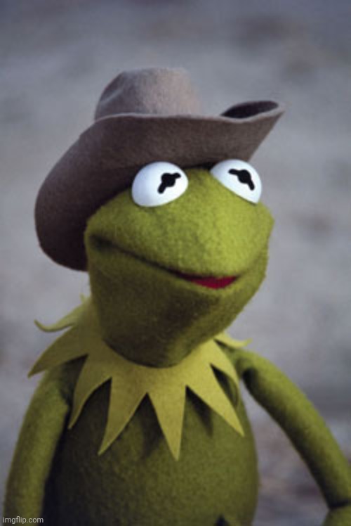 Texas Kermit | image tagged in texas kermit | made w/ Imgflip meme maker