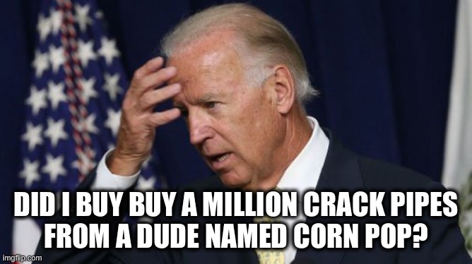 Corn Pop is the salesman and Hunter’s business associate | DID I BUY BUY A MILLION CRACK PIPES
FROM A DUDE NAMED CORN POP? | image tagged in joe biden worries | made w/ Imgflip meme maker