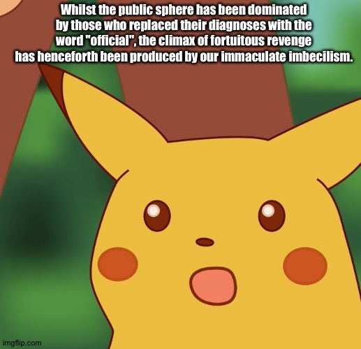 So to speak | Whilst the public sphere has been dominated by those who replaced their diagnoses with the word "official", the climax of fortuitous revenge has henceforth been produced by our immaculate imbecilism. | image tagged in surprised pikachu,politics,its official,revenge | made w/ Imgflip meme maker