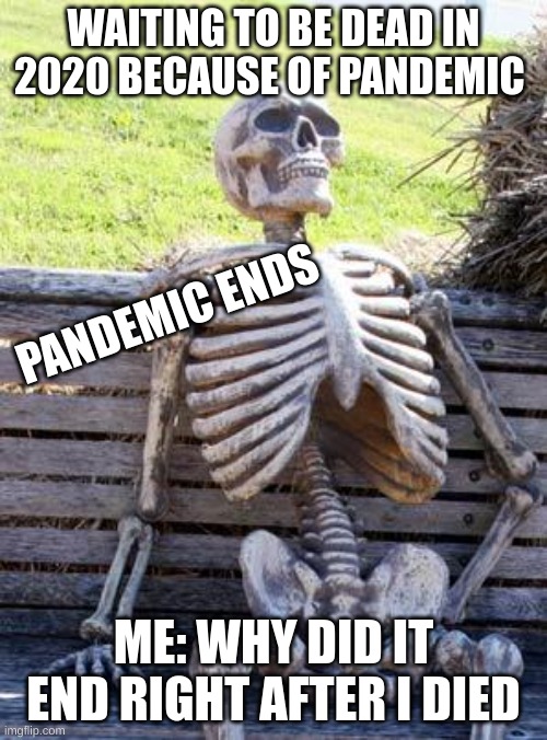 Waiting Skeleton | WAITING TO BE DEAD IN 2020 BECAUSE OF PANDEMIC; PANDEMIC ENDS; ME: WHY DID IT END RIGHT AFTER I DIED | image tagged in memes,waiting skeleton | made w/ Imgflip meme maker