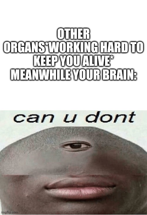 Image Title | OTHER ORGANS*WORKING HARD TO KEEP YOU ALIVE*
MEANWHILE YOUR BRAIN: | image tagged in blank white template,can u dont | made w/ Imgflip meme maker