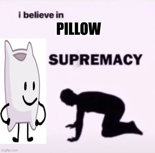 Pillow my beloved |  PILLOW | image tagged in i believe in supremacy,bfdi | made w/ Imgflip meme maker