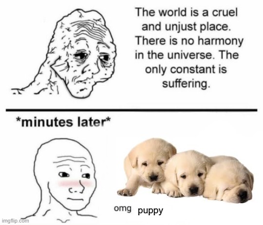 quick meme go brrr | puppy | image tagged in minutes later omg | made w/ Imgflip meme maker