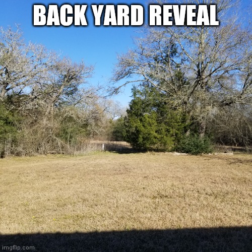 BACK YARD REVEAL | made w/ Imgflip meme maker