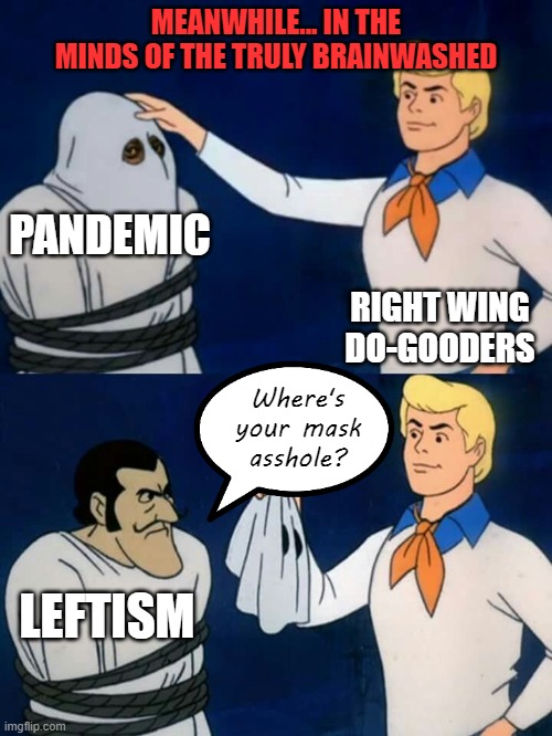 Scooby doo mask reveal | PANDEMIC RIGHT WING DO-GOODERS LEFTISM Where's your mask asshole? MEANWHILE... IN THE MINDS OF THE TRULY BRAINWASHED | image tagged in scooby doo mask reveal | made w/ Imgflip meme maker