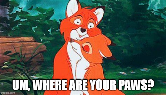 Foxes | UM, WHERE ARE YOUR PAWS? | made w/ Imgflip meme maker