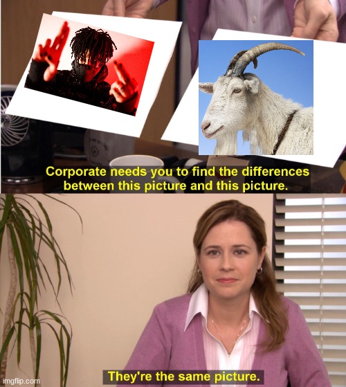 and that is facts | image tagged in memes,they're the same picture | made w/ Imgflip meme maker