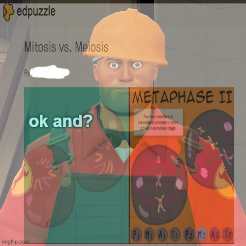 Idc about Mitosis vs. Meiosis | made w/ Imgflip meme maker