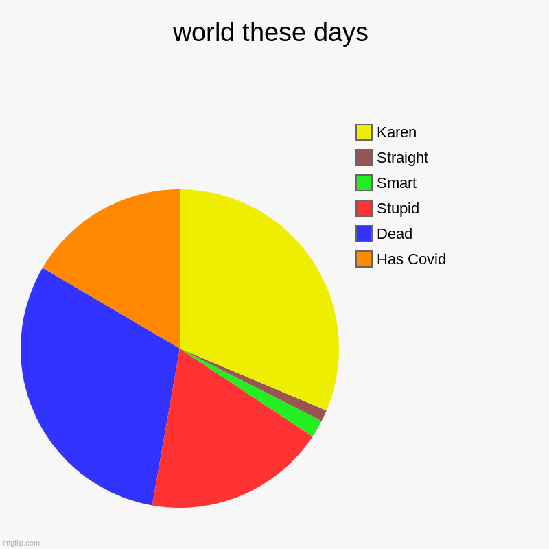 World these days | world these days | Has Covid, Dead, Stupid, Smart, Straight, Karen | image tagged in charts,pie charts | made w/ Imgflip chart maker