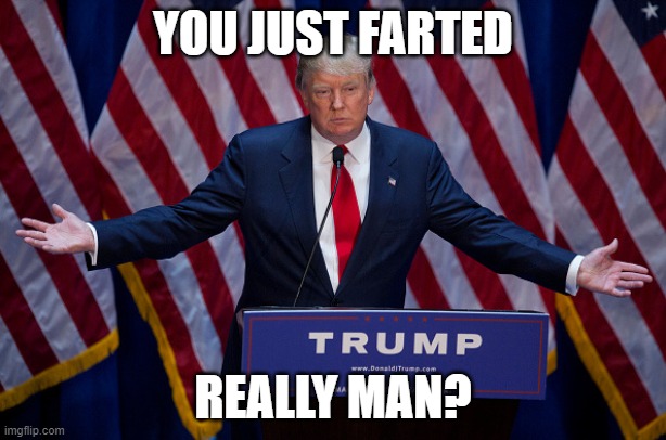 why u fart | YOU JUST FARTED; REALLY MAN? | image tagged in donald trump | made w/ Imgflip meme maker