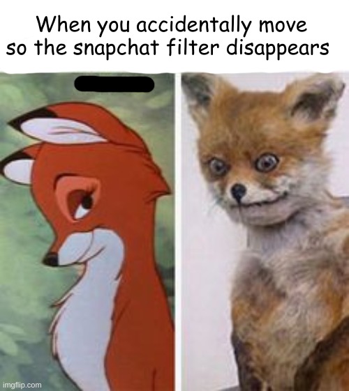 O_O | When you accidentally move so the snapchat filter disappears | image tagged in oof,snapchat,memes | made w/ Imgflip meme maker