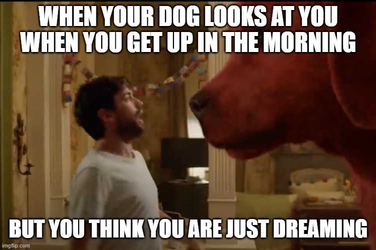 clifford the big red dog meme | WHEN YOUR DOG LOOKS AT YOU WHEN YOU GET UP IN THE MORNING; BUT YOU THINK YOU ARE JUST DREAMING | image tagged in cliffordthebigreddog,clifford | made w/ Imgflip meme maker