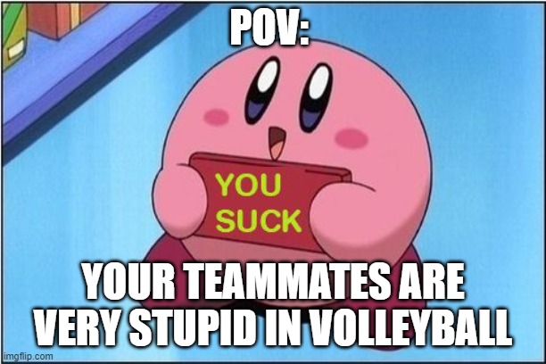 Kirby says You Suck | POV:; YOUR TEAMMATES ARE VERY STUPID IN VOLLEYBALL | image tagged in kirby says you suck | made w/ Imgflip meme maker
