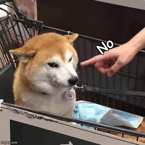 No horny | No | image tagged in no horny | made w/ Imgflip meme maker