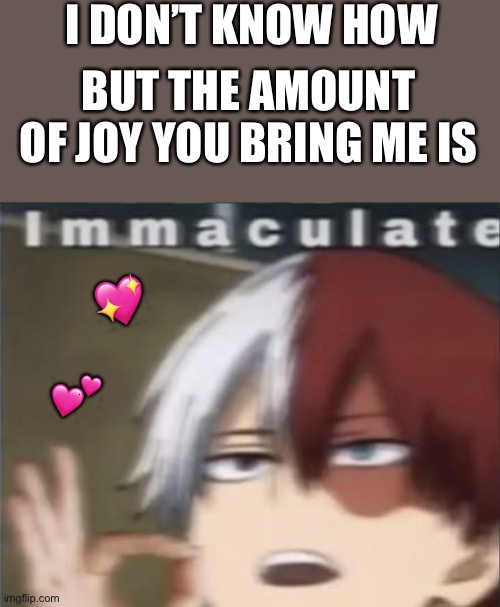 I m a c u l a t e | I DON’T KNOW HOW; BUT THE AMOUNT OF JOY YOU BRING ME IS; 💖; 💕 | image tagged in immaculate todoroki,wholesome | made w/ Imgflip meme maker