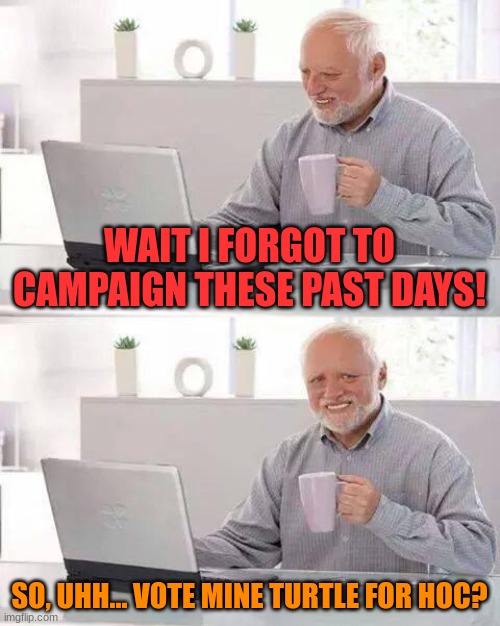 horrible campaign ads | WAIT I FORGOT TO CAMPAIGN THESE PAST DAYS! SO, UHH... VOTE MINE TURTLE FOR HOC? | image tagged in memes,hide the pain harold | made w/ Imgflip meme maker