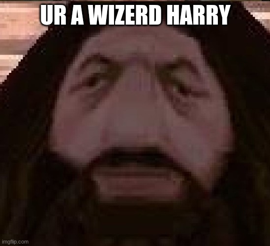 Hagrid PS1 | UR A WIZERD HARRY | image tagged in hagrid ps1 | made w/ Imgflip meme maker