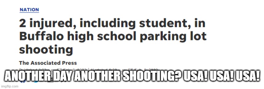 Buffalo Shooting | ANOTHER DAY ANOTHER SHOOTING? USA! USA! USA! | image tagged in buffalo shooting | made w/ Imgflip meme maker