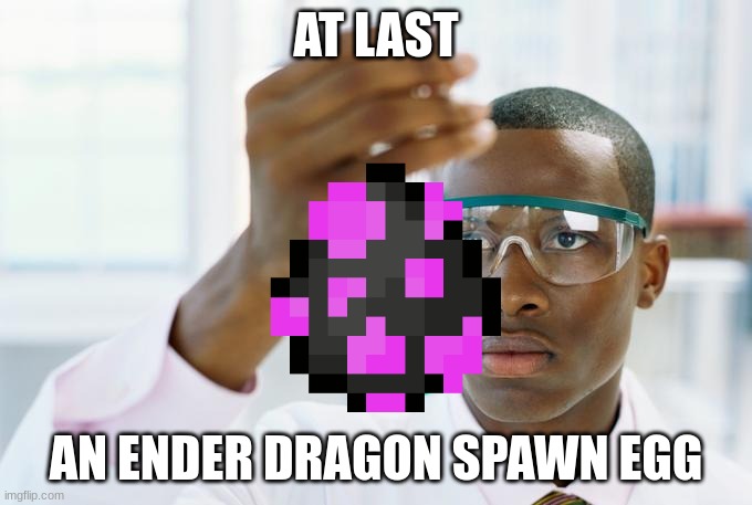 we need this in 1.19 | AT LAST; AN ENDER DRAGON SPAWN EGG | image tagged in at last | made w/ Imgflip meme maker