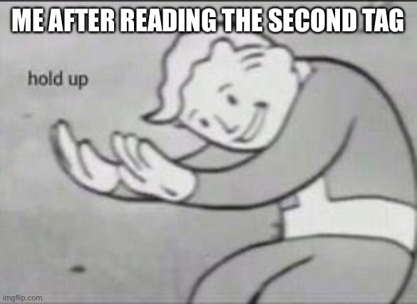 Fallout Hold Up | ME AFTER READING THE SECOND TAG | image tagged in fallout hold up | made w/ Imgflip meme maker