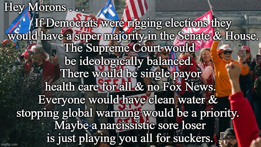 Suckers | Hey Morons . . . If Democrats were rigging elections they would have a super majority in the Senate & House. The Supreme Court would be ideologically balanced. There would be single payor health care for all & no Fox News. Everyone would have clean water & stopping global warming would be a priority. Maybe a narcissistic sore loser is just playing you all for suckers. | image tagged in politics | made w/ Imgflip meme maker