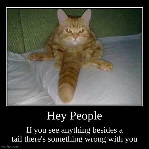 Stop commenting Cat Cock, please | image tagged in funny,demotivationals | made w/ Imgflip demotivational maker