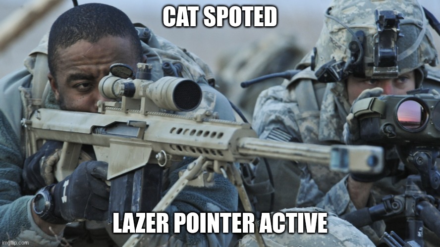 sniper spoter | CAT SPOTED LAZER POINTER ACTIVE | image tagged in sniper spoter | made w/ Imgflip meme maker