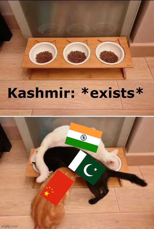 Kashmir conflict in a nutshell | Kashmir: *exists* | image tagged in cats fighting for food,kashmir,india,pakistan,china,politics | made w/ Imgflip meme maker