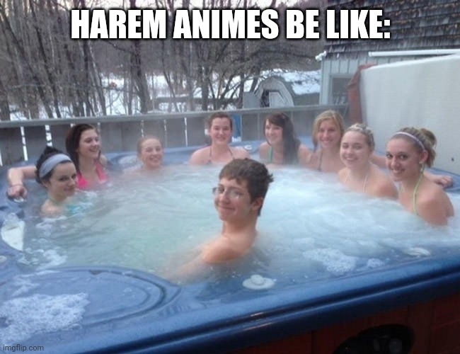 You can't tell me you haven't seen a harem anime like this | HAREM ANIMES BE LIKE: | image tagged in one boy in the hot tub | made w/ Imgflip meme maker
