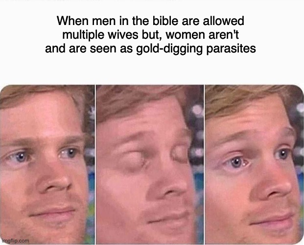 Wife of Bath's Tale | When men in the bible are allowed multiple wives but, women aren't and are seen as gold-digging parasites | image tagged in british literature | made w/ Imgflip meme maker