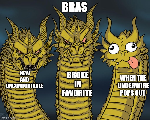 Three-headed Dragon | BRAS; NEW AND 
UNCOMFORTABLE; BROKE IN FAVORITE; WHEN THE UNDERWIRE POPS OUT | image tagged in three-headed dragon | made w/ Imgflip meme maker