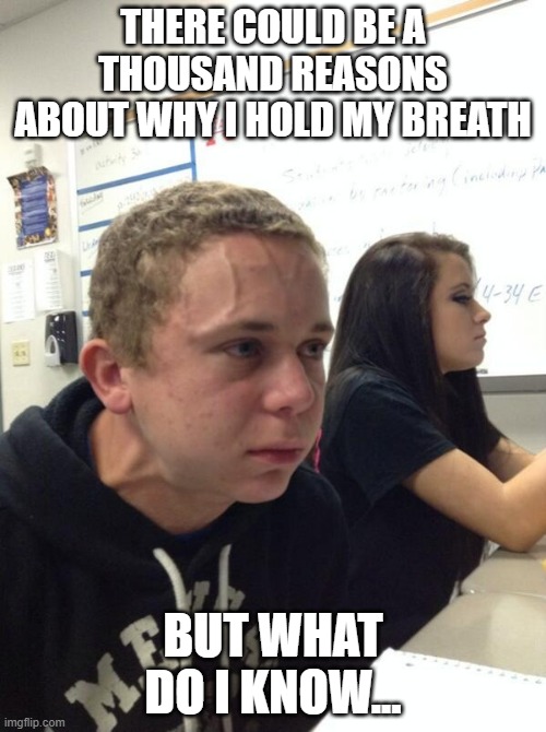 Boy holding his breath | THERE COULD BE A THOUSAND REASONS ABOUT WHY I HOLD MY BREATH; BUT WHAT DO I KNOW... | image tagged in boy holding his breath | made w/ Imgflip meme maker