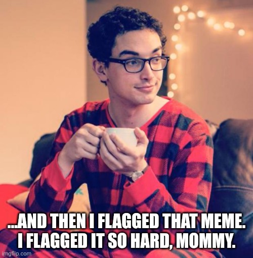 Pajama Boy | ...AND THEN I FLAGGED THAT MEME.
I FLAGGED IT SO HARD, MOMMY. | image tagged in pajama boy | made w/ Imgflip meme maker