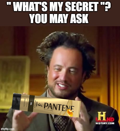 image tagged in ancient aliens,memes,funny memes,hairstyle,hair,tall hair dude | made w/ Imgflip meme maker