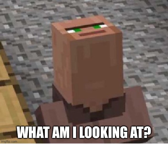 Minecraft Villager Looking Up | WHAT AM I LOOKING AT? | image tagged in minecraft villager looking up | made w/ Imgflip meme maker