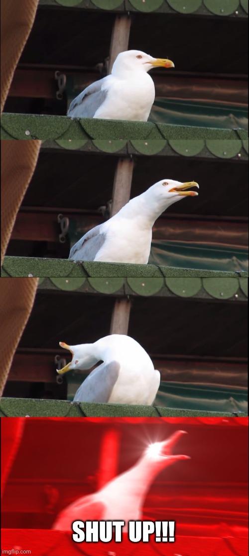 Inhaling Seagull Meme | SHUT UP!!! | image tagged in memes,inhaling seagull | made w/ Imgflip meme maker