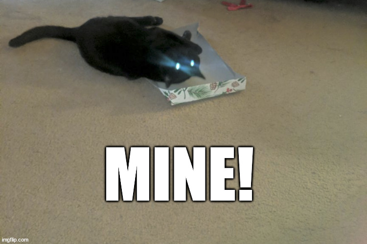 It's his. | MINE! | image tagged in funny,meme,cat,power,kitty | made w/ Imgflip meme maker
