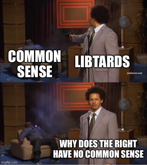 Who Killed Hannibal Meme | COMMON SENSE; LIBTARDS; WHY DOES THE RIGHT HAVE NO COMMON SENSE | image tagged in memes,who killed hannibal,libtards,oh wow are you actually reading these tags | made w/ Imgflip meme maker