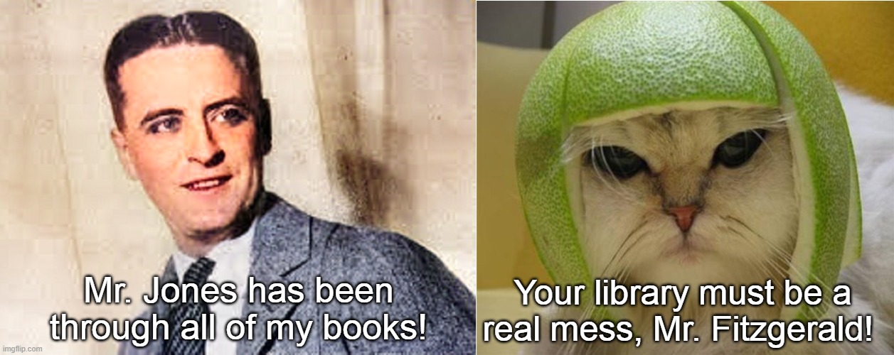 F. Scott Fitzgerald and the Cat With the Lime Helmet | Mr. Jones has been through all of my books! Your library must be a real mess, Mr. Fitzgerald! | image tagged in f scott fitzgerald,cat with lime helmet,mr jones,bob dylan | made w/ Imgflip meme maker