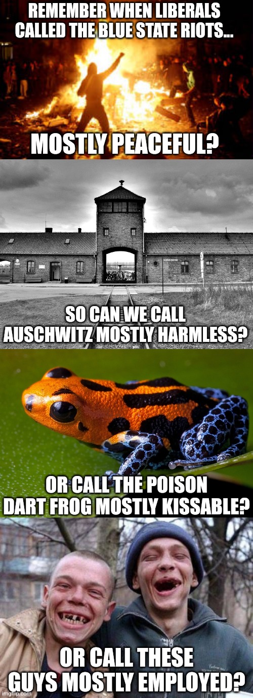 Calling things Mostly Ok.....the crowning achievement of Democrats lately??? | REMEMBER WHEN LIBERALS CALLED THE BLUE STATE RIOTS... MOSTLY PEACEFUL? SO CAN WE CALL AUSCHWITZ MOSTLY HARMLESS? OR CALL THE POISON DART FROG MOSTLY KISSABLE? OR CALL THESE GUYS MOSTLY EMPLOYED? | image tagged in anarchy riot,aushwitz,ugly twins,democratic party,liberal logic,expectation vs reality | made w/ Imgflip meme maker