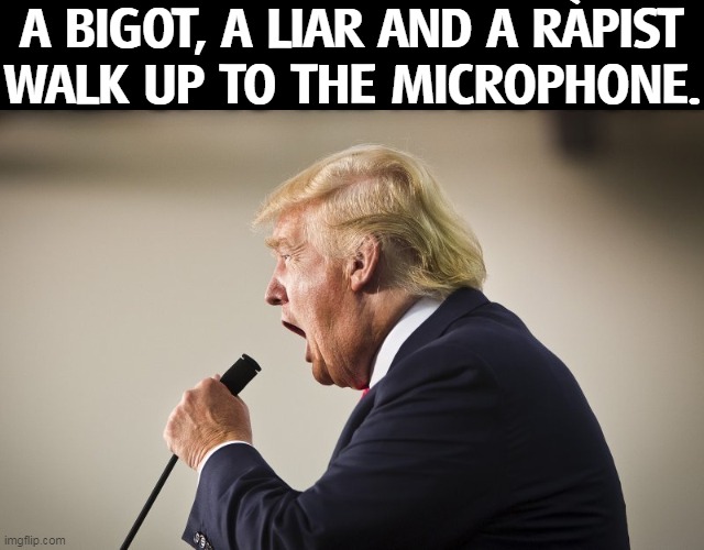 A BIGOT, A LIAR AND A RÀPIST
WALK UP TO THE MICROPHONE. | image tagged in trump,bigot,liar,assault,microphone | made w/ Imgflip meme maker