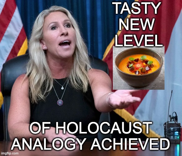 The gaffe that keeps on giving | TASTY 
NEW 
LEVEL; OF HOLOCAUST ANALOGY ACHIEVED | image tagged in marjorie taylor greene is this the holocaust,soup,mistake,gop,congress | made w/ Imgflip meme maker